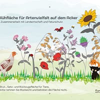 flurundnatur - Blühstreifen Hinweisschild - für Naturschutz und Landwirte - Rebhuhn, Feldhamster