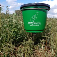 Rebhuhnfütterung / Fasanenfütterung von flurundnatur - Getreide