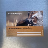 Fallen Hinweisschild Fuchs