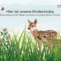 KInderstube Rehkitz Frischling