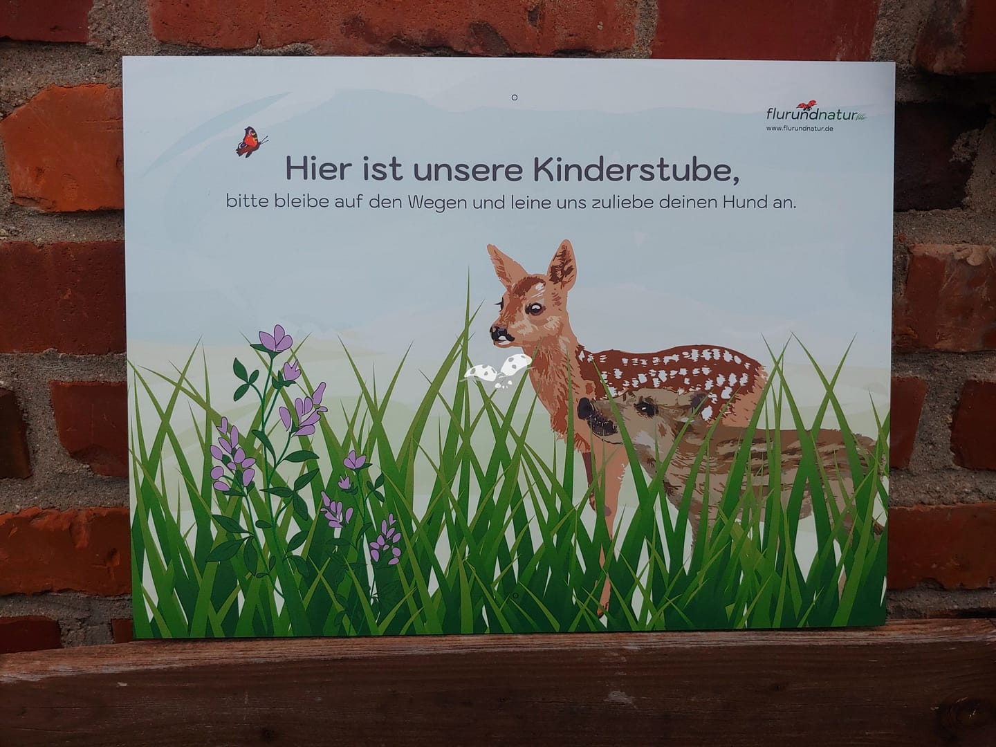 Hinweisschild "Kinderstube mit Rehkitz und Frischling" – Bild 2