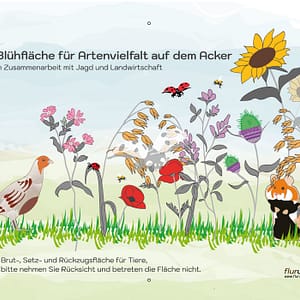 flurundnatur Blühstreifen Hinweisschild Rebhuhn und Feldhamster, Jagd und Landwirtschaft