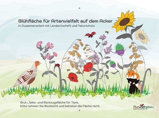 flurundnatur - Blühstreifen Hinweisschild - für Naturschutz und Landwirte - Rebhuhn, Feldhamster