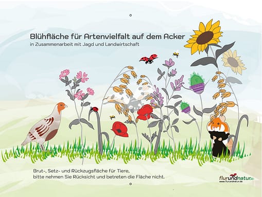 flurundnatur Blühstreifen Hinweisschild Rebhuhn und Feldhamster, Jagd und Landwirtschaft