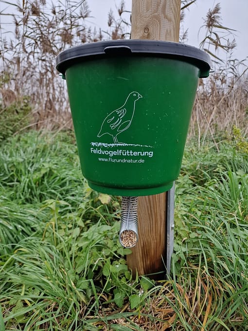 Universalfütterung - Set mit verzinktem Eimerhalter mit gebogener Feder - für Enten, Fasane und Rebhühner