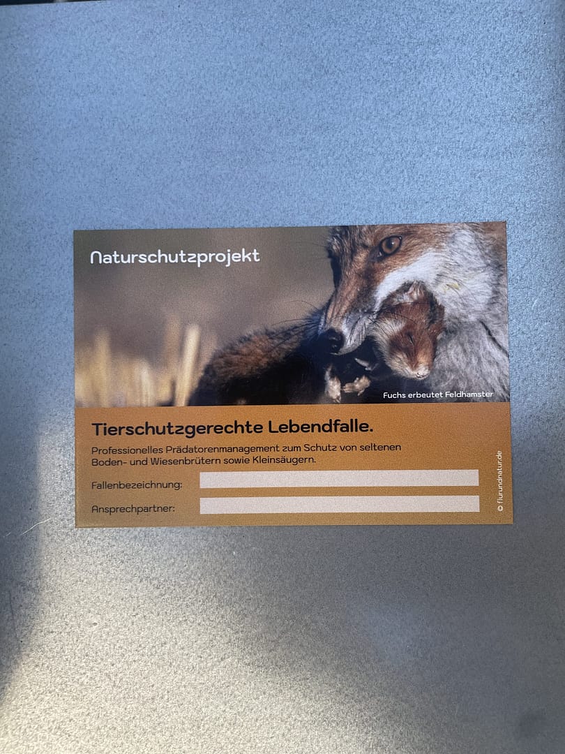 Fallen Hinweisschild Fuchs