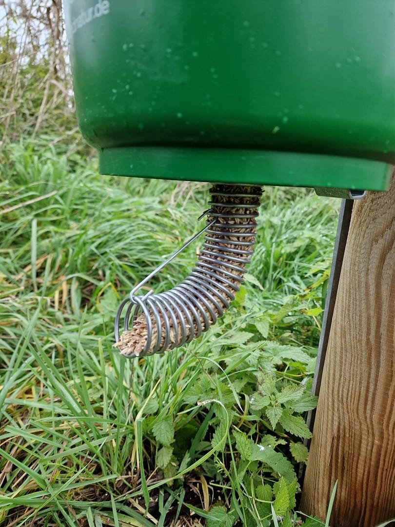 Futterspirale für Enten, Fasane, Rebhühner verschiedene Getreidesorten (Getreide, Mais, Mischfutter) – Bild 3