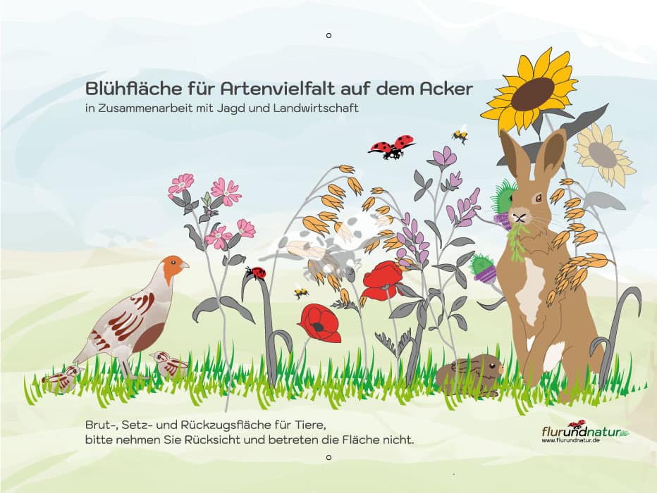 Bestellen SIe bei flurundnatur das Hinweisschild mit Rebhuhn und Feldhase