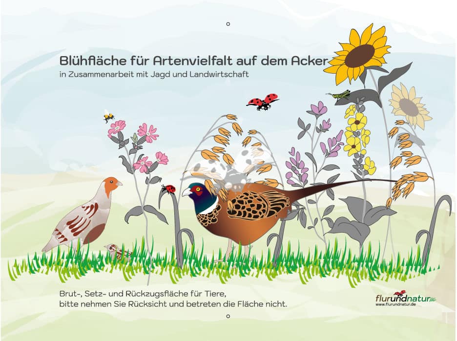 Bestellen Sie das Hinweisschild Rebhuhn und Fasan für Jagd und Landwirtschaft