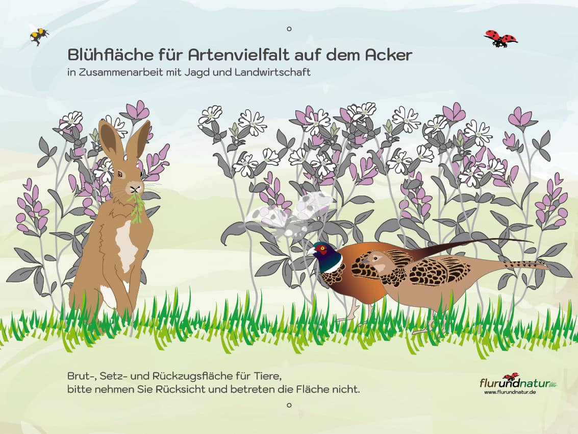 Schild "Blühfläche für Artenvielfalt" mit Feldhase und Fasan